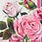 ROSA/ GRÜN/ WEISS
