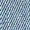 78807 Den.Blue lt.security