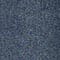 Cisco DARK BLUE