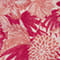 HELLROSA/ PINK/ ORANGE