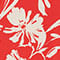 ROT/ CREME