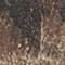 BROWN/ BEIGE