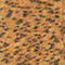 ORANGE/ SCHWARZ