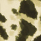 BEIGE/ SCHWARZ
