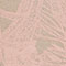 ROSÉ/ TAUPE
