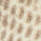 CREME/ DUNKELGRAU/ GRAU