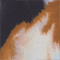 DUNKELBLAU/ DUNKELORANGE/ HELLBLAU