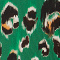 557 brilliant green new