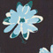 SCHWARZ/ HELLBLAU/ PETROL