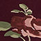 DUNKELROT/ ROSÉ/ GRÜN
