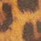 COGNAC/ SCHWARZ