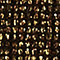 GOLD/ SCHWARZ