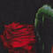 BLACK/ RED/ GREEN