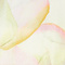 HELLGRÜN/ ORANGE/ PINK
