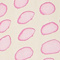 CREME/ ROSA