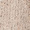 BEIGE/ BRAUN/ TAUPE