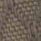 BRAUN