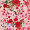 ROSA/ ROT/ CREME