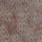 BEIGE/ GRAY