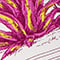 WEISS/ FUCHSIA/ GELB