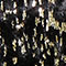 SCHWARZ/ GOLD