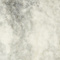 GRAY/ ECRU