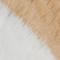 CAMEL/ WEISS