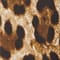 LEOPRINT