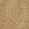 1319 Light Brown