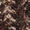 DARK BROWN/ LIGHT BROWN