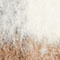 GRAY/ ECRU/ BEIGE