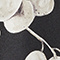 SCHWARZ/ WEISS/ BEIGE