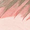 ROSÉ/ OLIV