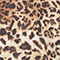 BEIGE/ BROWN/ DARK BROWN