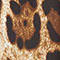 LEOPRINT