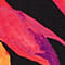 SCHWARZ/ GRÜN/ PINK
