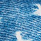 BLAU/ WEISS