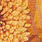 HELLROT/ HELLROSA/ BEIGE