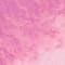 PINK/ FUCHSIA