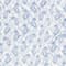 WEISS/ BLAU/ HELLBLAU