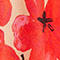 ROT/ PINK/ ECRU
