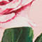 ROSA/ DUNKELGRÜN