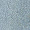 MEDIUM BLUE DENIM