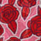 PINK/ ROT