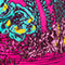 PINK/ GREEN/ ROSE