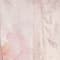 ROSÉ/ ALTROSA