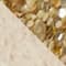 GOLD/ BEIGE