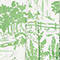 WHITE/ LIGHT GREEN