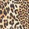 BROWN/ DARK BROWN/ BEIGE