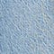 2160 Light Indigo
